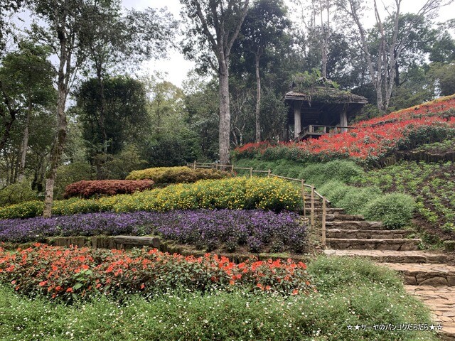メーファールアン植物園 Mae-Fah-Luang-Arboretum (10)