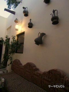 20111229 rakuda 9