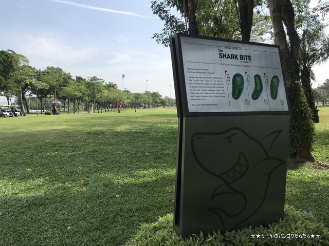 タナ・シティ ゴルフカントリークラブ Thana City Country Club (14)