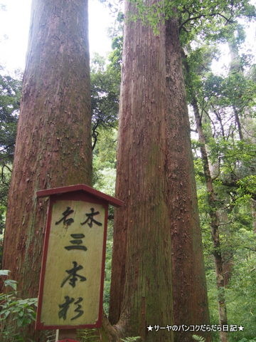 笠森観音 KASAMORI KANNON CHIBA 長生郡
