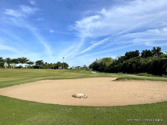 rose garden golf タイ ゴルフ (8)