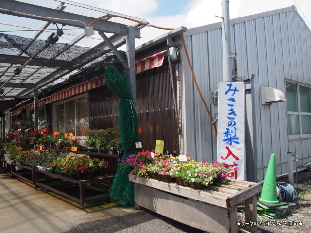 ごじゃ箱 岬 千葉県 MISAKI ISUMI CHIBA