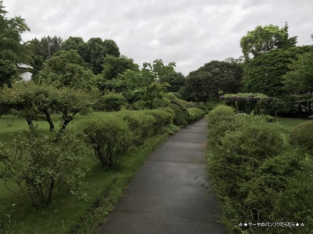 さかざきちはるのおしごと展 チーバくん 愛ラブ千葉 (25)