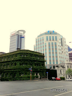 Auckland city 5