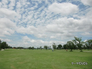 20120714 unico 3