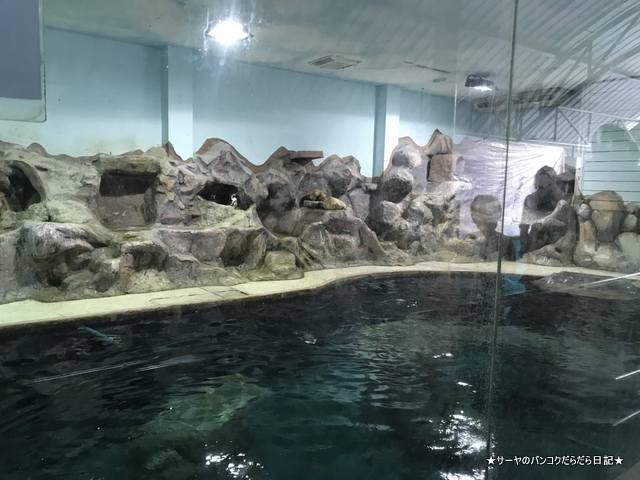 Dusit Zoo ドゥシット動物園 タイ カバ 最古 (19)