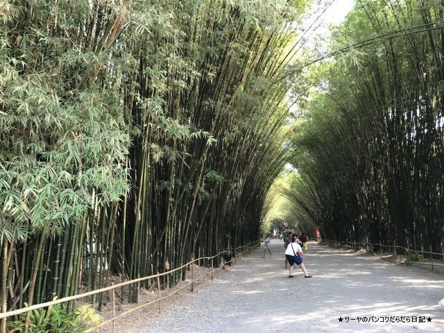 Chulabhorn Wanaram temple ナコンナヨック 嵐山 (2)