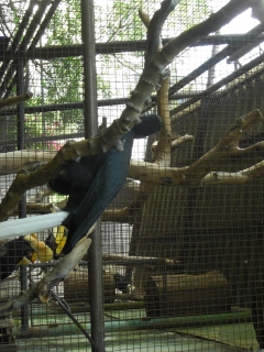 20090914 PATA ZOO 4