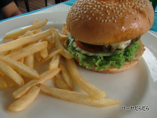 20120601 teminal D 4