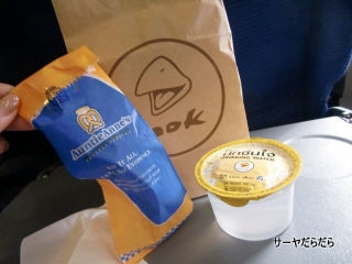 20110325 nok air 2