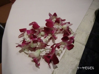 20101020 thai dinner 11