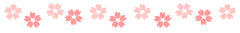 さくら