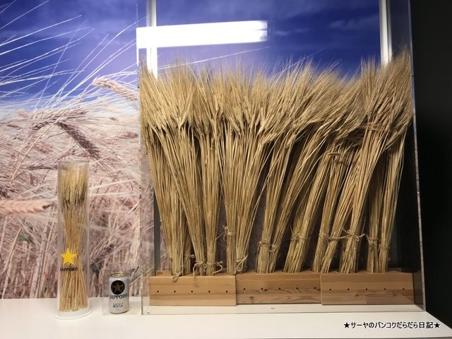¥µ¡¼¥ä¡¡¥µ¥Ã¥Ý¥í¡¡¥Ó¡¼¥ë¡¡sapporo beer ·ÃÄí Ë̳¤Æ» (7)