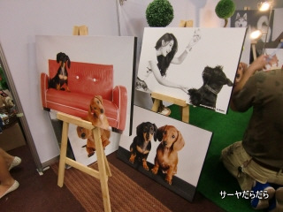 20100726 pet expo 6
