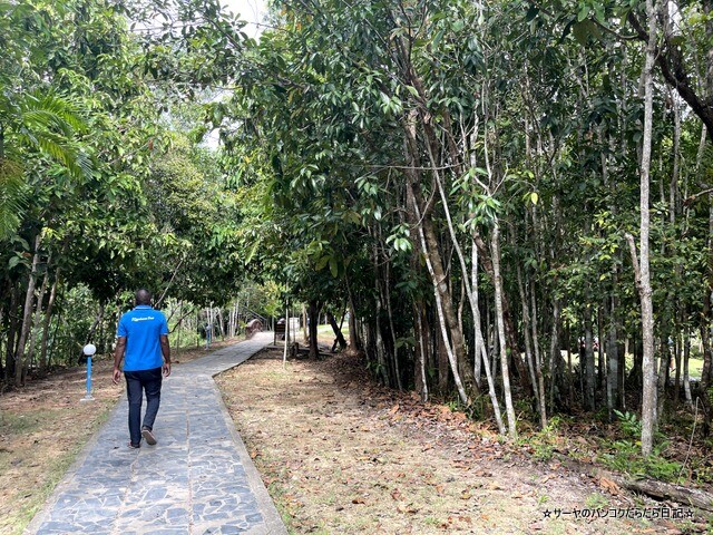 Kantang Hot Spring Forest Park ガンタン温泉 (2)