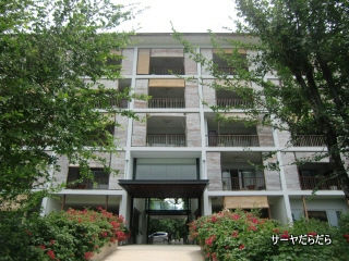 20110708ヤイヤー 2