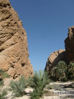 20120107 WADI SHAB 1