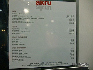 20101128 akru 4