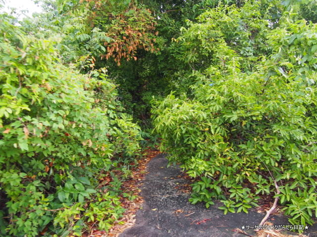 Mukdahan National Park ムクダハン国立公園