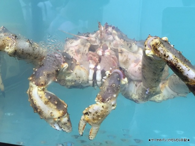 南大門 Gateway Cuisine 香港 サーヤ