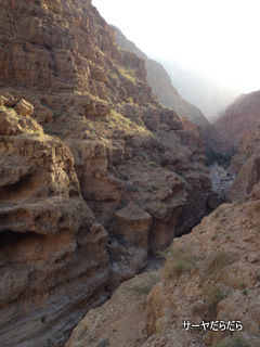 20120107 WADI SHAB 20