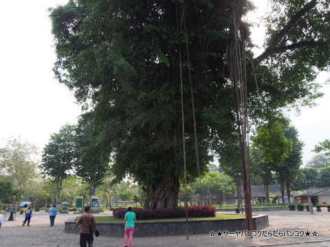 ボルブドゥール遺跡 インドネシア ジョグジャカルタ