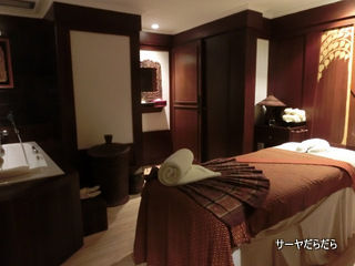 20121122 neva spa 8