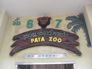 20090914 PATA ZOO 1
