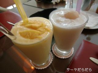 PO20100424_0004