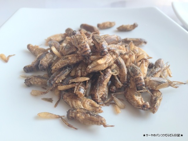 タイ 虫 菓子 Hiso ハイソー おもろい