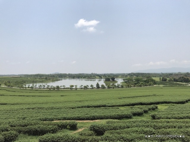 Singha Park シンハーパーク チェンライ (8)