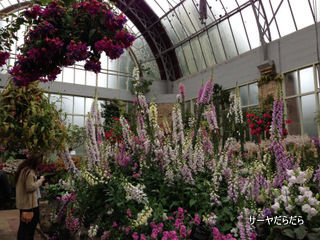 20121119 winter garden 6