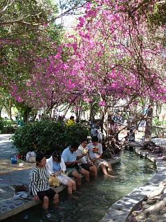 20080121 samkampheng 9