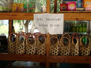 20080121 sankampheng 2