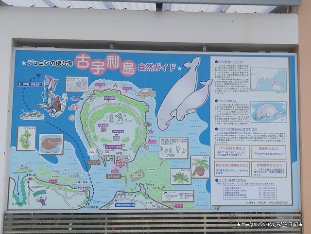 古宇利島 こうりじま 沖縄 okinawa 弾丸旅行 (5)