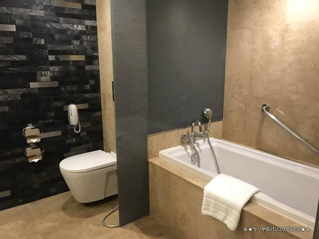 Royal Orchid Sheraton Hotel ロイヤルオーキッドシェラトン (5)