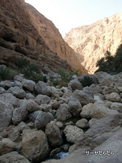 20120107 WADI SHAB 10