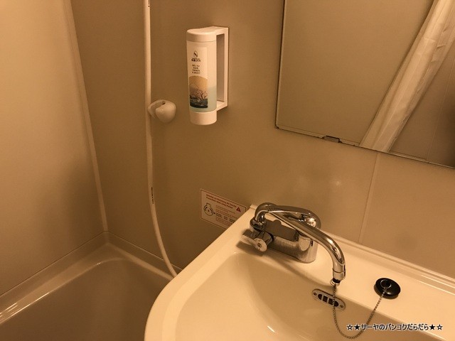 toyoko inn 東横イン フランクフルト (7)