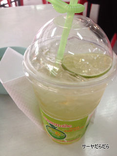 20120223 lemonade 2