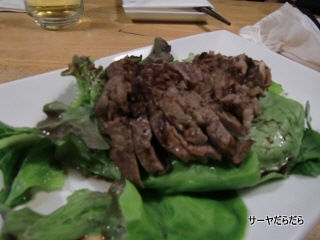 20101112 PLADIB 6