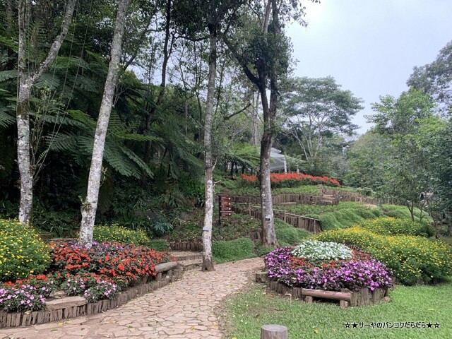 メーファールアン植物園 Mae-Fah-Luang-Arboretum (11)