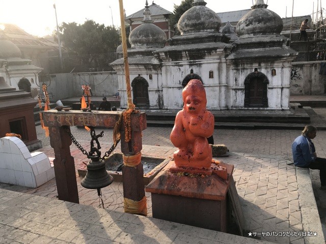 パシュパティナート Pashupatinath 世界遺産 (19)