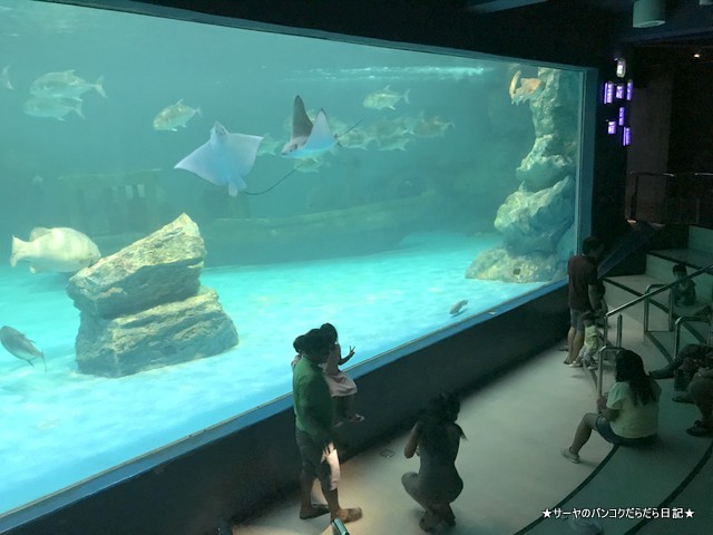 Aquarium The Institute of Marine Science Burapha University (25)