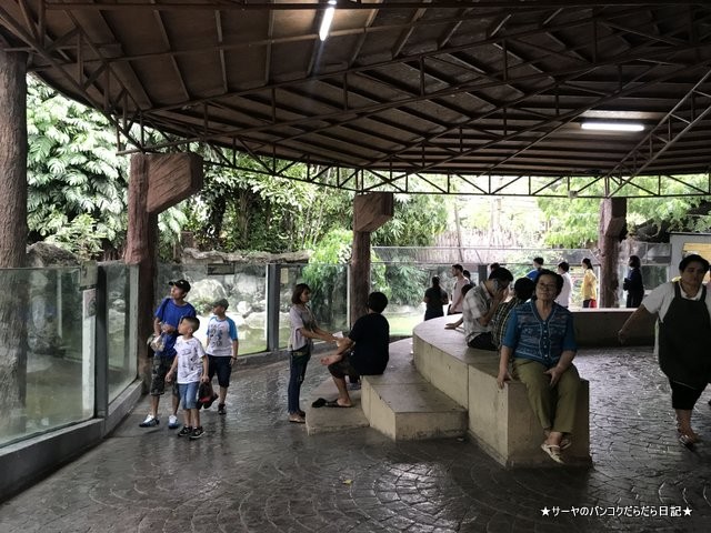 Dusit Zoo ドゥシット動物園 タイ カバ 最古 (32)