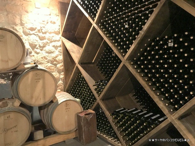 Skar Winery Dubrovnik ワイナリー ドゥブロブニク (13)