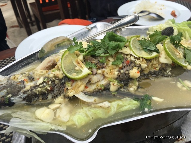 クラビ タイ Krabi 秘境 ランチ レストラン (6)