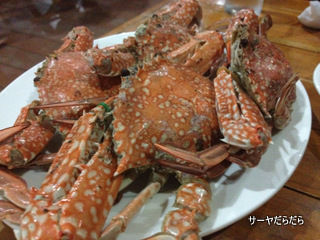 20120406 dinner 1