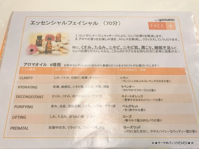 YANANO AIKO 山野愛子 Face フェイス (3)