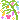 ¤¿¤Ê¤Ð¤¿