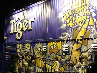 20101220 Tiger 1